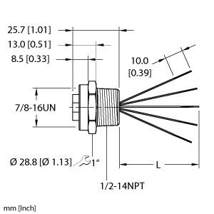 RKF 50-1M/NPT