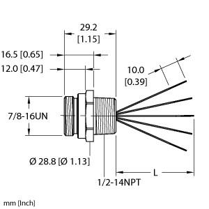 RSF 50-1M/NPT